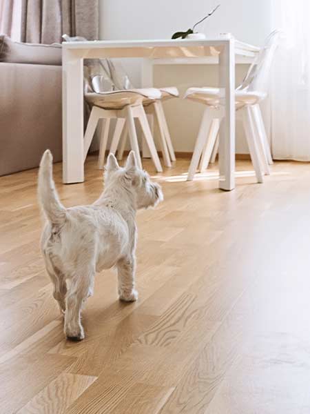 how to clean and buff wooden floor reviews Boise area
