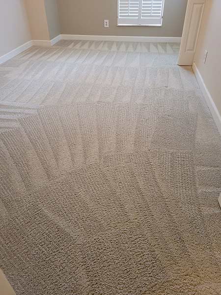 carpet pet stain removal allergens odor stair steam cleaners
